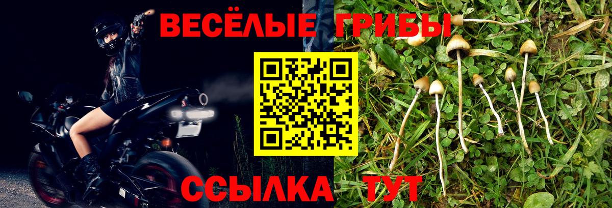 Балтийск  продажа наркотиков  Вход с VPN  Галлюциногенные грибы мицелий  Галлюциногенные грибы мицелий 
