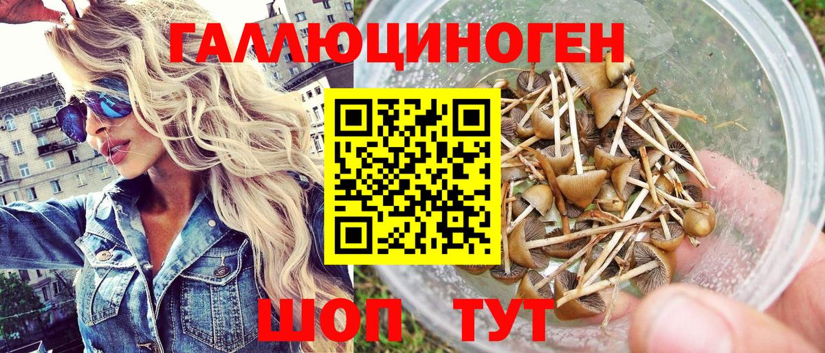 Псилоцибиновые грибы Cubensis Балтийск
