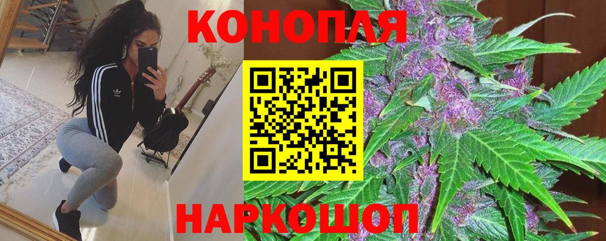 Бошки марихуана Ganja  Вход с VPN  Балтийск  Марихуана Ganja  Бошки Шишки тримм 